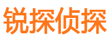 麦积区市侦探公司